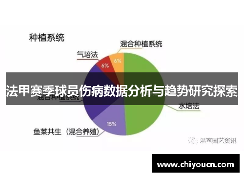 法甲赛季球员伤病数据分析与趋势研究探索